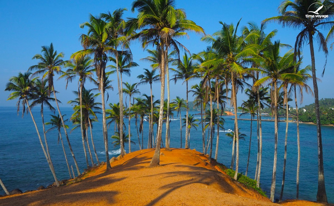 Картинка - 1