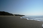 Картинка - 3
